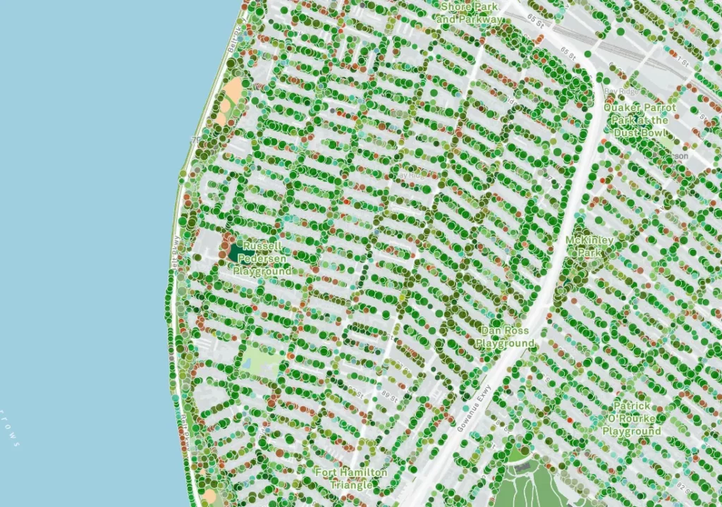 A map of Bay Ridge's trees from the NYC Parks Department Tree Map website circa 2024